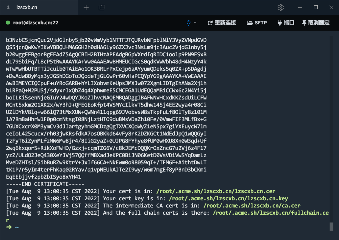 image-20220809130320412